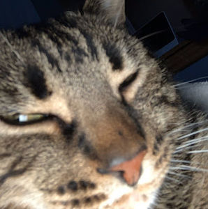 Meet your Posher, Miranda